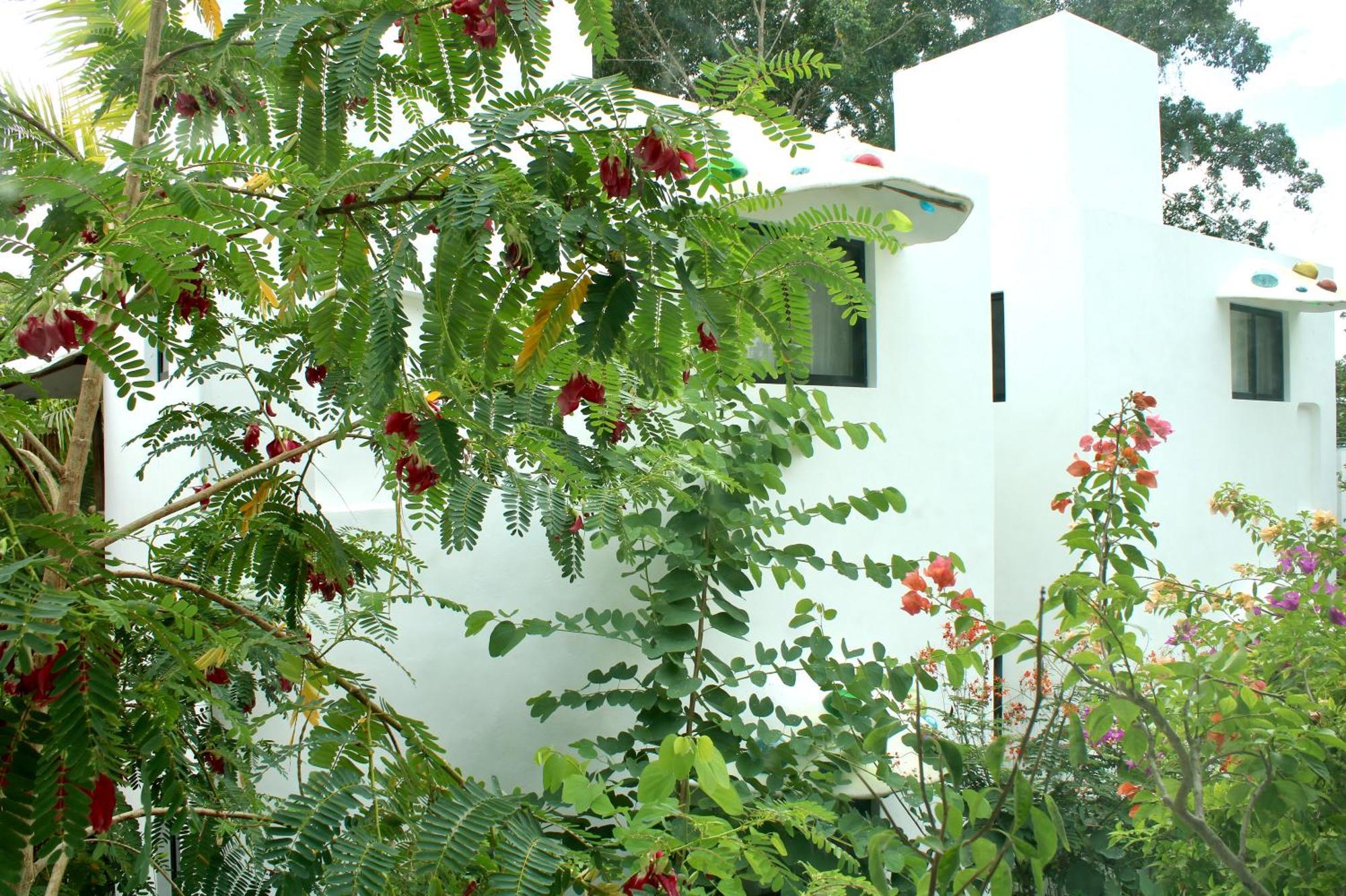 Maison Bacalar Eksteriør bilde
